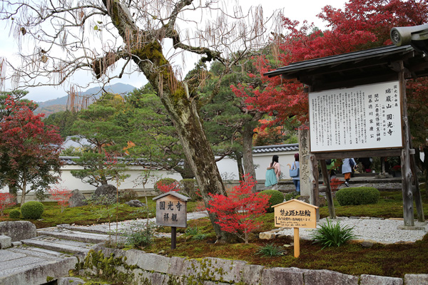 圓光寺