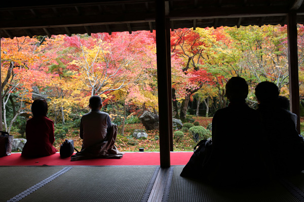 圓光寺