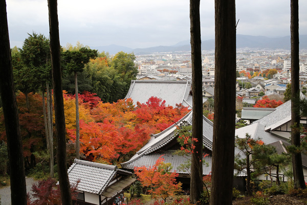 圓光寺