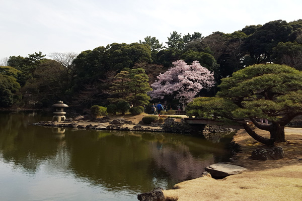 日本庭園