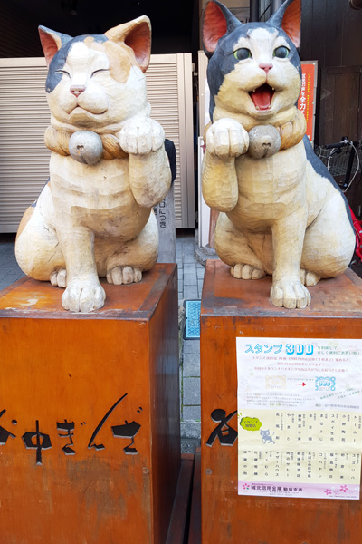 大きな猫