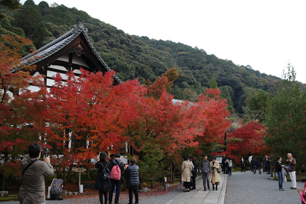 永観堂