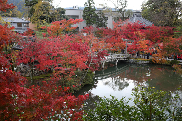 庭園