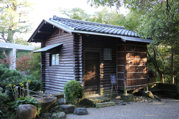 橡の木茶屋