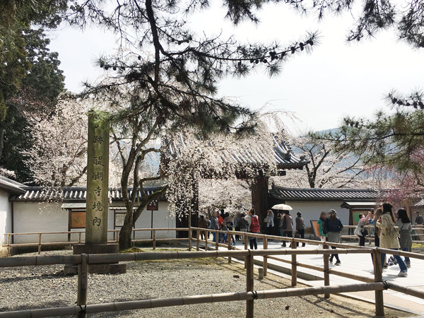 醍醐寺