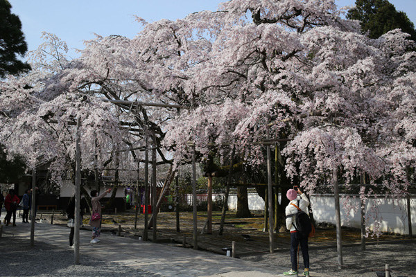 三宝院