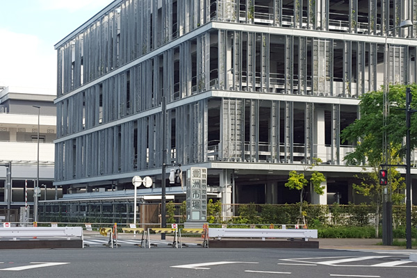 豊洲市場