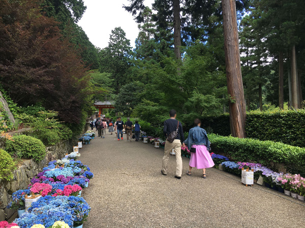 三室戸寺